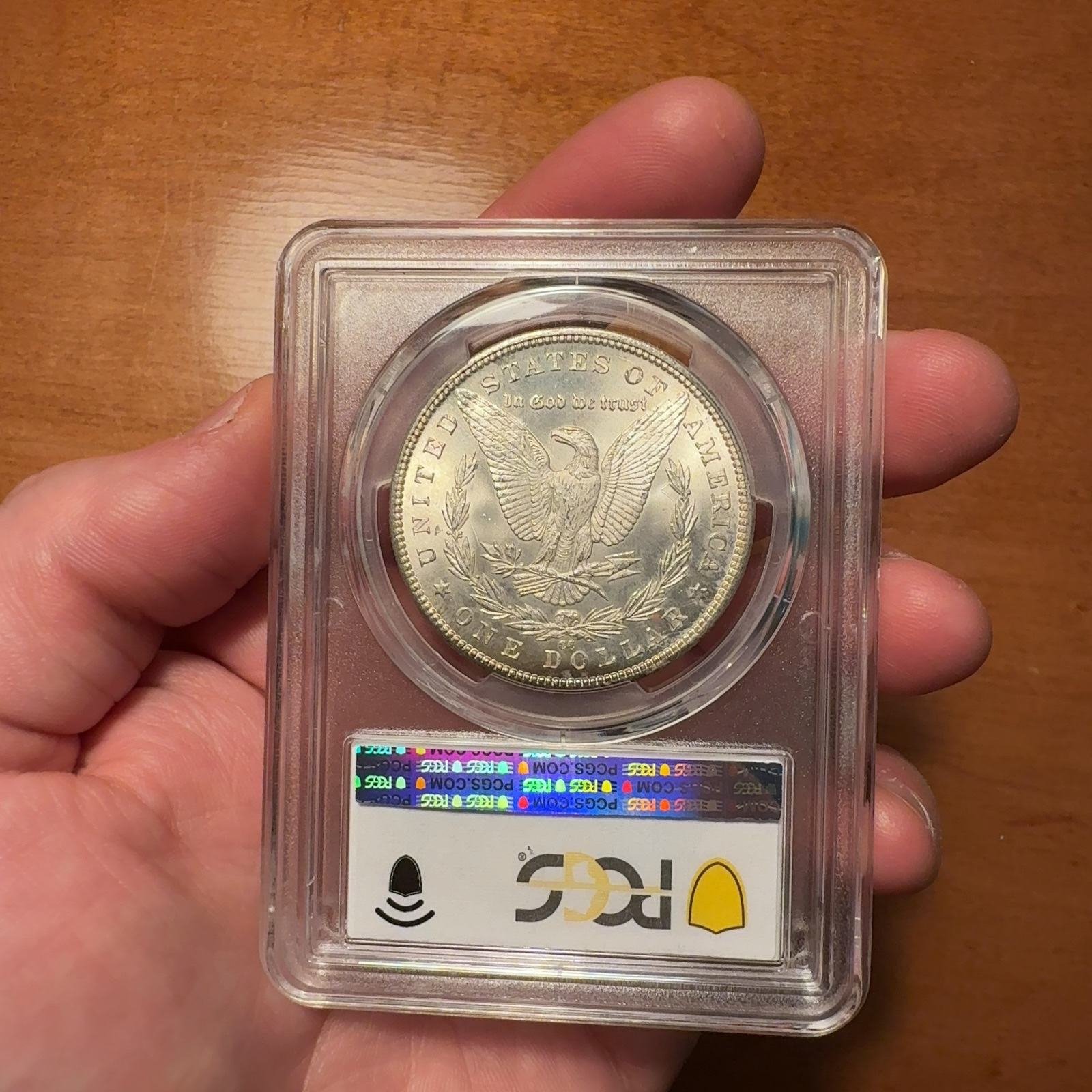 Handheld phone photograph 8 of the 1884-CC Morgan Dollar in its holder