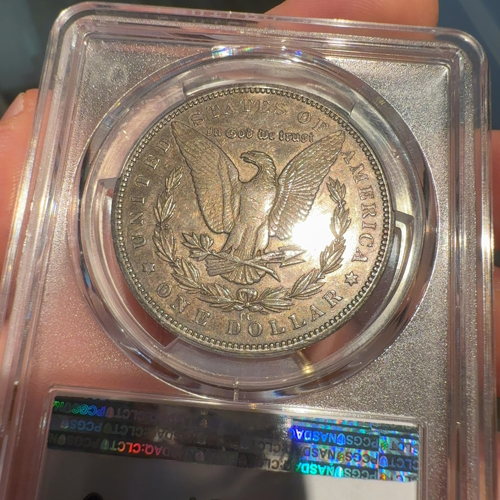 Handheld phone photograph 7 of the 1893-CC Morgan Dollar in its holder