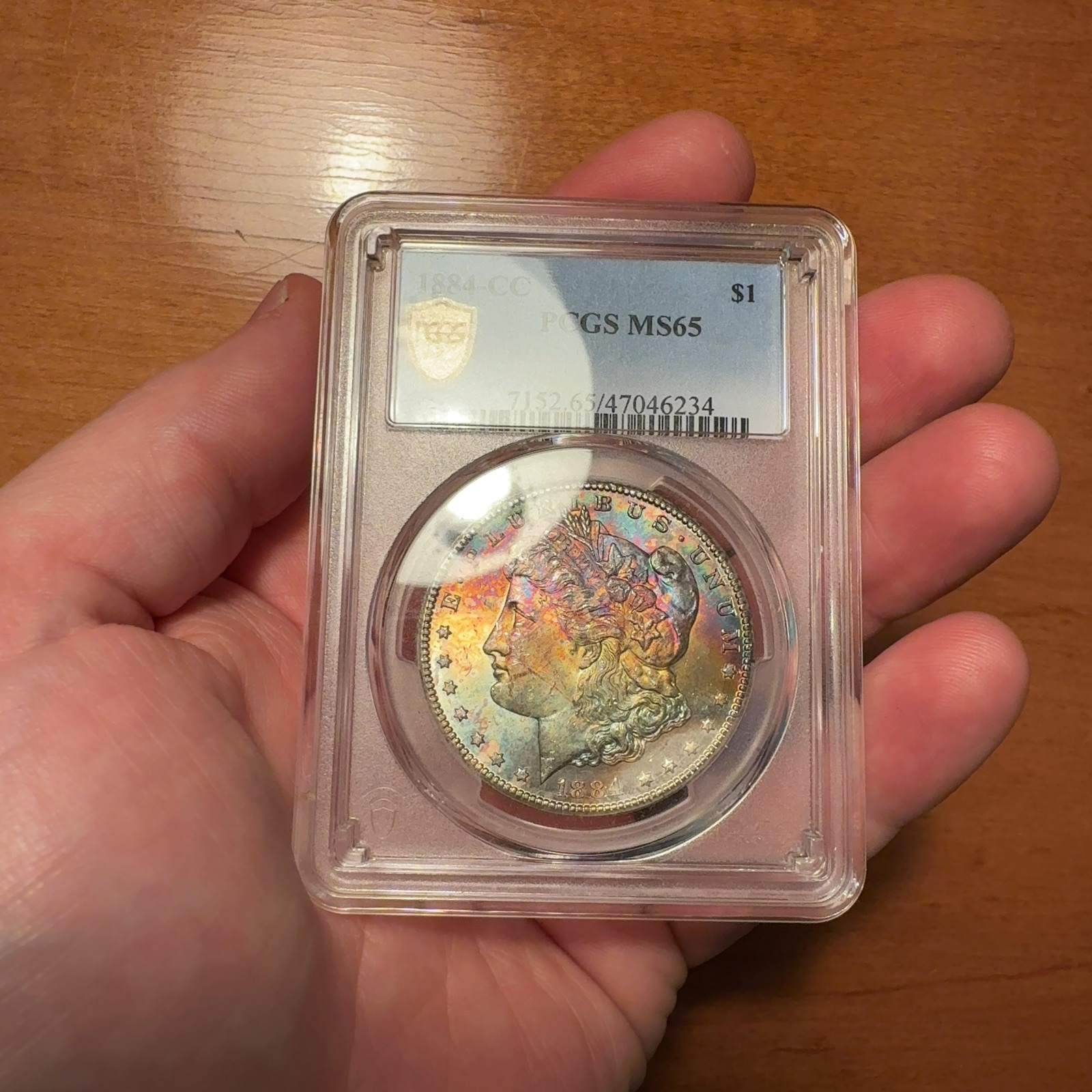 Handheld phone photograph 4 of the 1884-CC Morgan Dollar in its holder