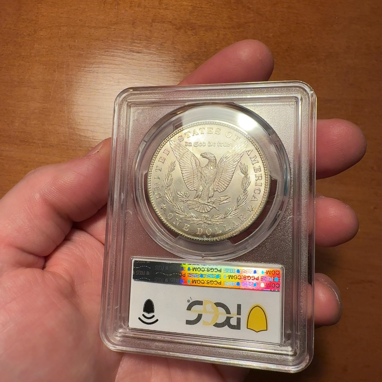 Handheld phone photograph 7 of the 1884-CC Morgan Dollar in its holder