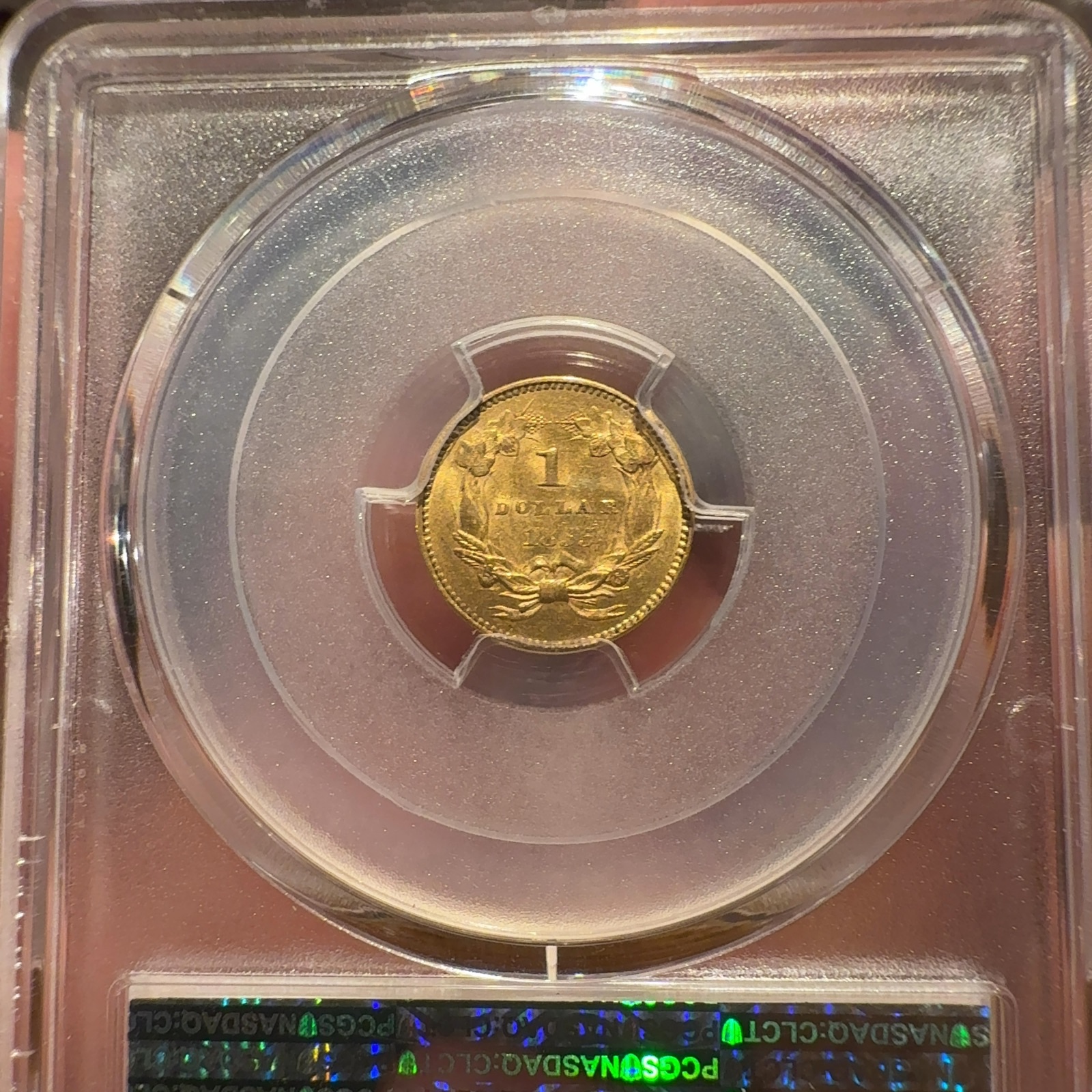 Handheld phone photograph 6 of the 1855 Gold Dollar in its holder