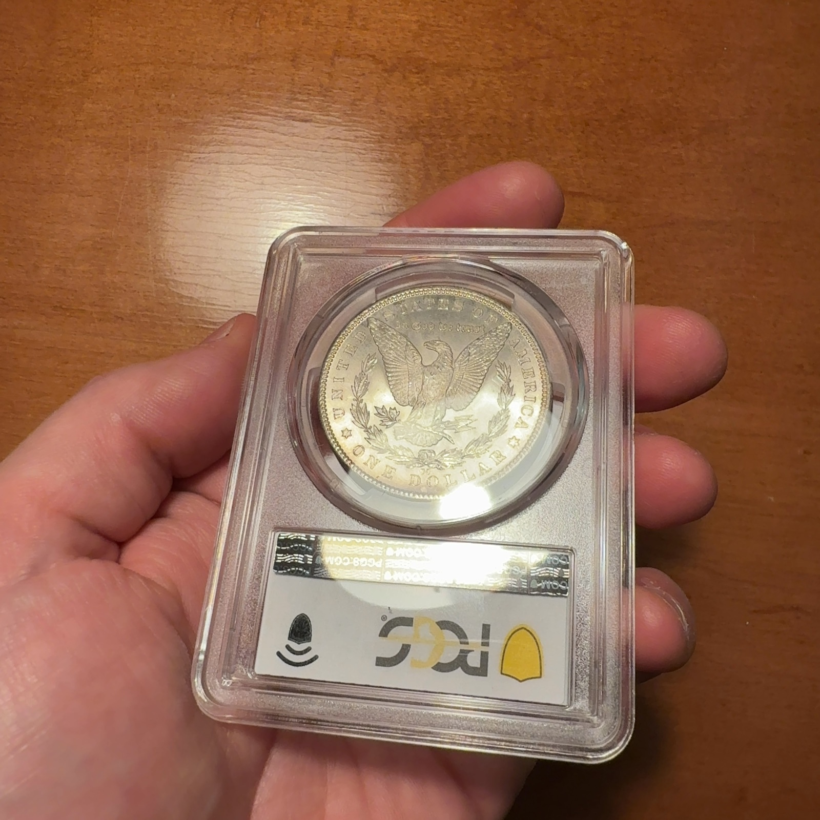 Handheld phone photograph 6 of the 1884-CC Morgan Dollar in its holder